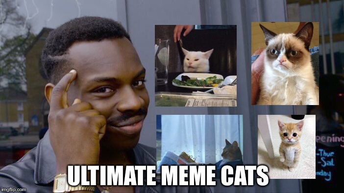 You know you love these meme cats | Cat Finds The Internet #1 | ULTIMATE MEME CATS | image tagged in memes,roll safe think about it | made w/ Imgflip meme maker