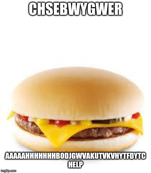 Cheeseburger | CHSEBWYGWER; AAAAAHHHHHHHBODJGWVAKUTVKVHYTFDYTC HELP | image tagged in cheeseburger | made w/ Imgflip meme maker