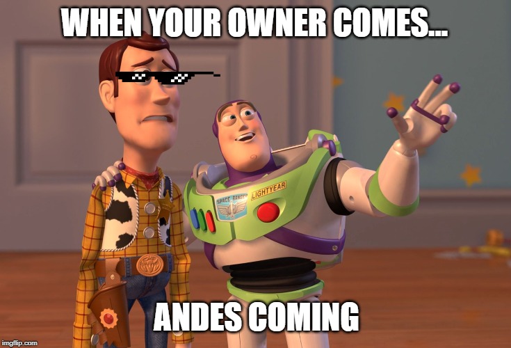 X, X Everywhere Meme | WHEN YOUR OWNER COMES... ANDES COMING | image tagged in memes,x x everywhere | made w/ Imgflip meme maker
