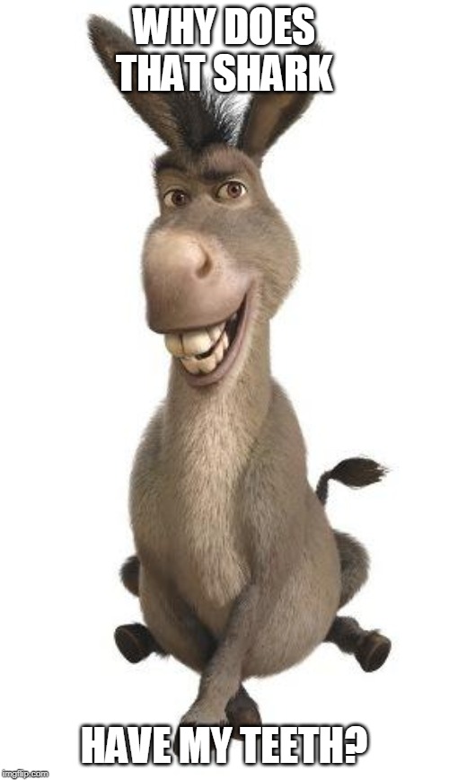 Donkey from Shrek | WHY DOES THAT SHARK HAVE MY TEETH? | image tagged in donkey from shrek | made w/ Imgflip meme maker