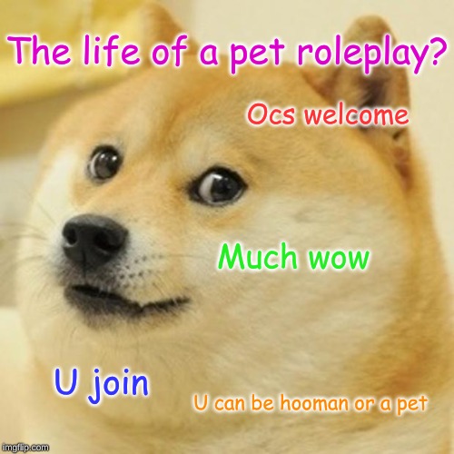 Doge | The life of a pet roleplay? Ocs welcome; Much wow; U join; U can be hooman or a pet | image tagged in memes,doge | made w/ Imgflip meme maker