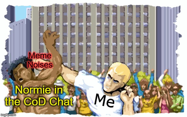 Street Fighter | Meme Noises; Normie in the CoD Chat; Me | image tagged in street fighter | made w/ Imgflip meme maker