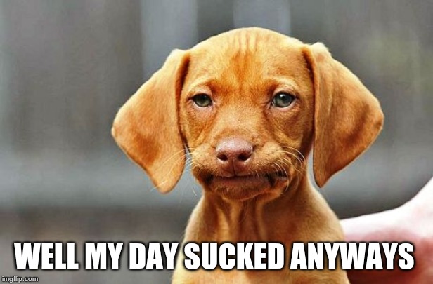 Frowning Dog | WELL MY DAY SUCKED ANYWAYS | image tagged in frowning dog | made w/ Imgflip meme maker