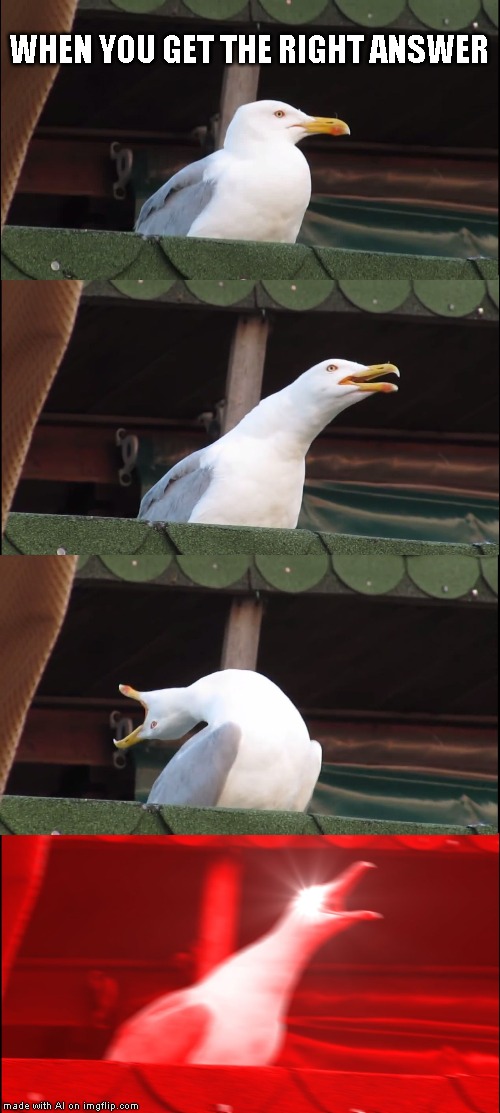 Inhaling Seagull | WHEN YOU GET THE RIGHT ANSWER | image tagged in memes,inhaling seagull | made w/ Imgflip meme maker