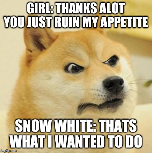 Confused Angery Doge | GIRL: THANKS ALOT YOU JUST RUIN MY APPETITE SNOW WHITE: THATS WHAT I WANTED TO DO | image tagged in confused angery doge | made w/ Imgflip meme maker
