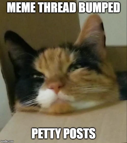 MEME THREAD BUMPED; PETTY POSTS | made w/ Imgflip meme maker