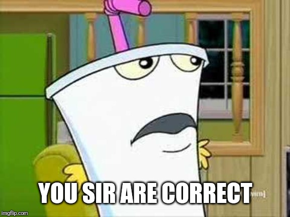 master shake | YOU SIR ARE CORRECT | image tagged in master shake | made w/ Imgflip meme maker