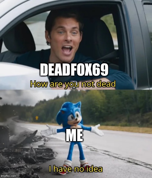 Sonic I have no idea | DEADFOX69 ME | image tagged in sonic i have no idea | made w/ Imgflip meme maker