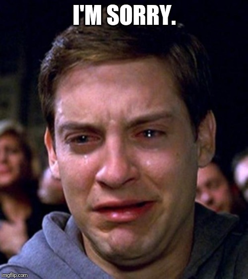 crying peter parker | I'M SORRY. | image tagged in crying peter parker | made w/ Imgflip meme maker