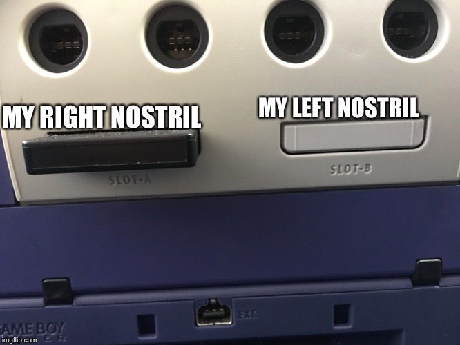 Air |  MY LEFT NOSTRIL; MY RIGHT NOSTRIL | image tagged in gamecube,memes | made w/ Imgflip meme maker