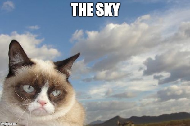 Grumpy Cat Sky Meme | THE SKY | image tagged in memes,grumpy cat sky,grumpy cat | made w/ Imgflip meme maker
