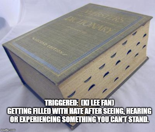 Dictionary | TRIGGERED:  (KI LEE FAN)
GETTING FILLED WITH HATE AFTER SEEING, HEARING OR EXPERIENCING SOMETHING YOU CAN'T STAND. | image tagged in dictionary | made w/ Imgflip meme maker