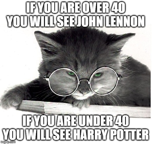 spectacled cat | IF YOU ARE OVER 4O YOU WILL SEE JOHN LENNON; IF YOU ARE UNDER 40 YOU WILL SEE HARRY POTTER | image tagged in lennon,harry potter | made w/ Imgflip meme maker