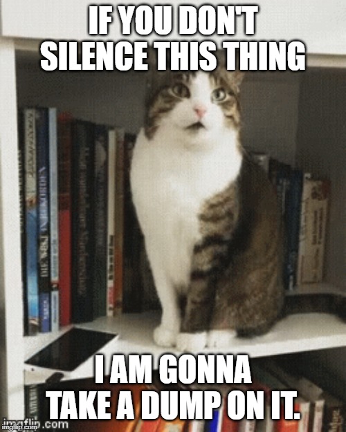 IF YOU DON'T SILENCE THIS THING; I AM GONNA TAKE A DUMP ON IT. | image tagged in funny cats | made w/ Imgflip meme maker