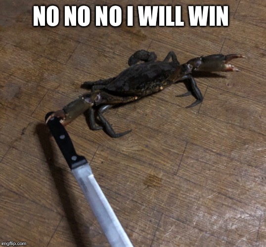 NO NO NO I WILL WIN | image tagged in scfarm,crab,win | made w/ Imgflip meme maker