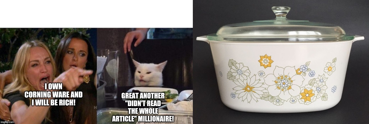 GREAT ANOTHER "DIDN'T READ THE WHOLE ARTICLE" MILLIONAIRE! I OWN CORNING WARE AND I WILL BE RICH! | image tagged in memes,woman yelling at cat | made w/ Imgflip meme maker