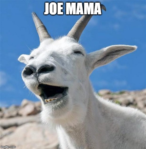 Laughing Goat Meme | JOE MAMA | image tagged in memes,laughing goat | made w/ Imgflip meme maker
