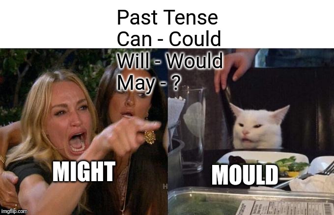 Past Tenses be like.. | Past Tense
Can - Could
Will - Would
May - ? MIGHT; MOULD | image tagged in memes,woman yelling at cat,cats,funny memes,dank memes | made w/ Imgflip meme maker