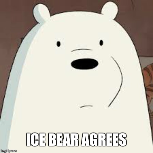 Ice Bear Approves  | ICE BEAR AGREES | image tagged in ice bear approves | made w/ Imgflip meme maker