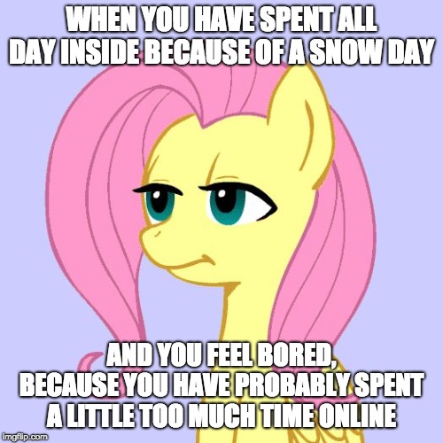 Today has me like... | WHEN YOU HAVE SPENT ALL DAY INSIDE BECAUSE OF A SNOW DAY; AND YOU FEEL BORED, BECAUSE YOU HAVE PROBABLY SPENT A LITTLE TOO MUCH TIME ONLINE | image tagged in tired of your crap,memes,snow day,online | made w/ Imgflip meme maker