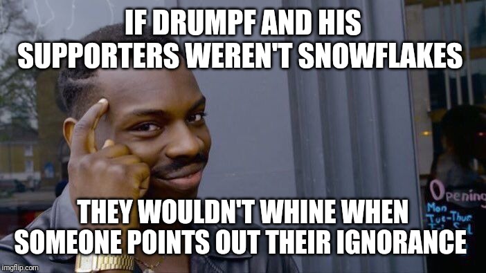 Roll Safe Think About It | IF DRUMPF AND HIS SUPPORTERS WEREN'T SNOWFLAKES; THEY WOULDN'T WHINE WHEN SOMEONE POINTS OUT THEIR IGNORANCE | image tagged in memes,roll safe think about it | made w/ Imgflip meme maker