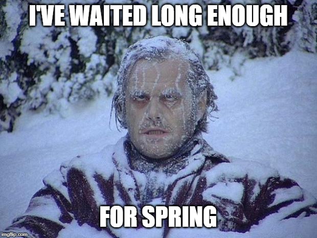 Jack Nicholson The Shining Snow | I'VE WAITED LONG ENOUGH; FOR SPRING | image tagged in memes,jack nicholson the shining snow | made w/ Imgflip meme maker