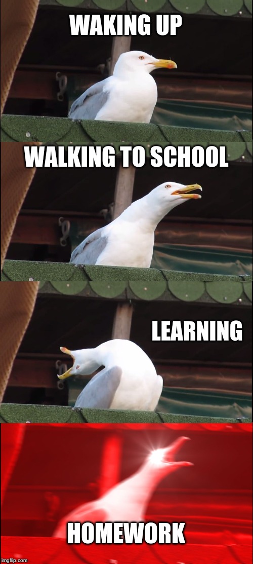 My Life in a nutshell | WAKING UP; WALKING TO SCHOOL; LEARNING; HOMEWORK | image tagged in memes,inhaling seagull | made w/ Imgflip meme maker