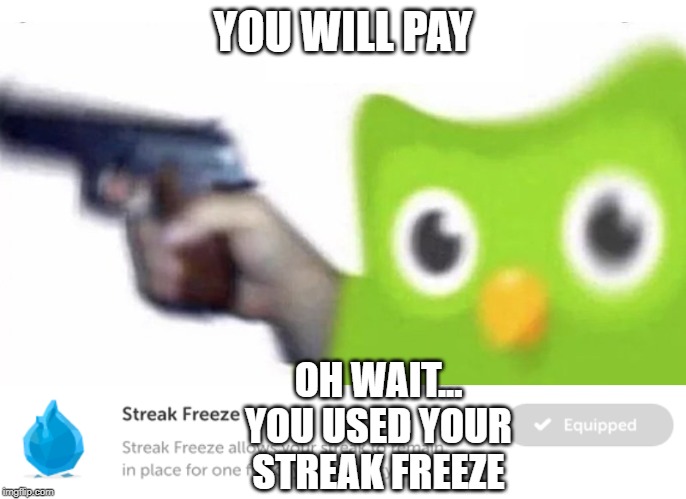 YOU WILL PAY; OH WAIT... YOU USED YOUR STREAK FREEZE | image tagged in duolingo gun | made w/ Imgflip meme maker