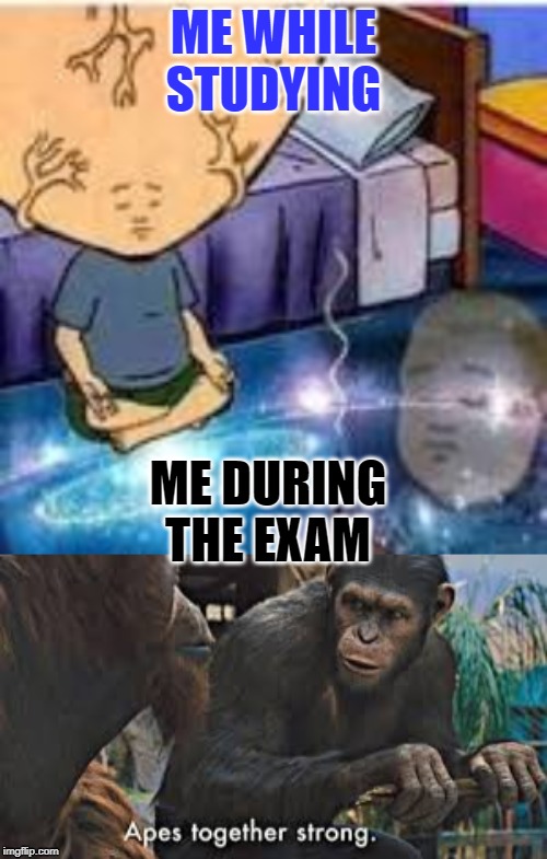 School | ME WHILE STUDYING; ME DURING THE EXAM | image tagged in school,relatable,funny,fun,studying,exams | made w/ Imgflip meme maker