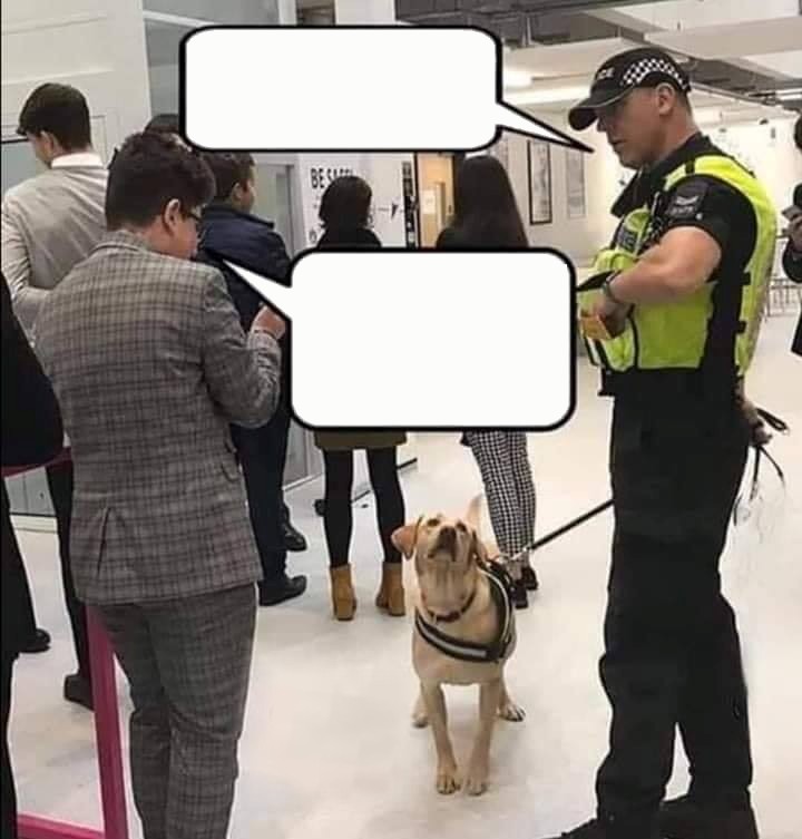 Sir, this is a drug dog. Blank Meme Template
