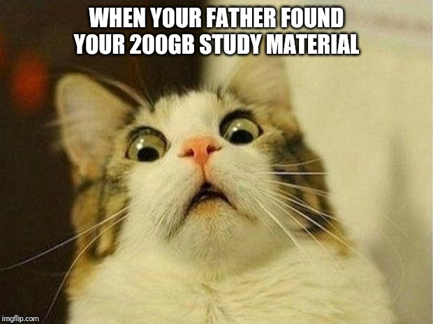 Scared Cat Meme | WHEN YOUR FATHER FOUND YOUR 200GB STUDY MATERIAL | image tagged in memes,scared cat | made w/ Imgflip meme maker