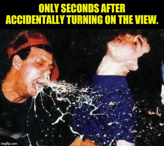 Puke | ONLY SECONDS AFTER ACCIDENTALLY TURNING ON THE VIEW. | image tagged in puke | made w/ Imgflip meme maker