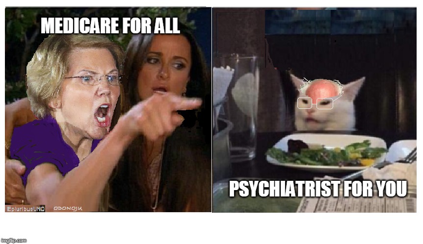 Health Care 2020 | MEDICARE FOR ALL; PSYCHIATRIST FOR YOU | image tagged in elizabeth warren,bernie sanders | made w/ Imgflip meme maker