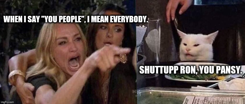 woman yelling at cat | WHEN I SAY "YOU PEOPLE", I MEAN EVERYBODY. SHUTTUPP RON, YOU PANSY. | image tagged in woman yelling at cat | made w/ Imgflip meme maker