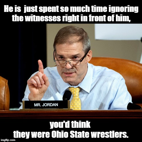 Jim Jordan | He is  just spent so much time ignoring 
the witnesses right in front of him, you'd think 
they were Ohio State wrestlers. | image tagged in politics | made w/ Imgflip meme maker