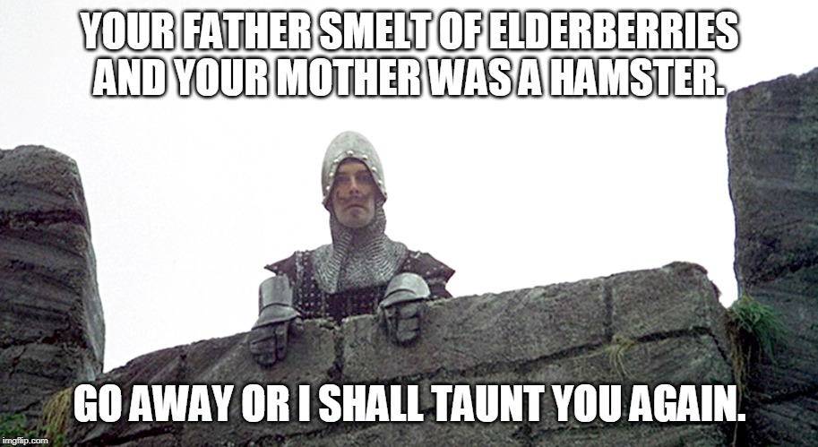 french knight | YOUR FATHER SMELT OF ELDERBERRIES AND YOUR MOTHER WAS A HAMSTER. GO AWAY OR I SHALL TAUNT YOU AGAIN. | image tagged in french knight | made w/ Imgflip meme maker