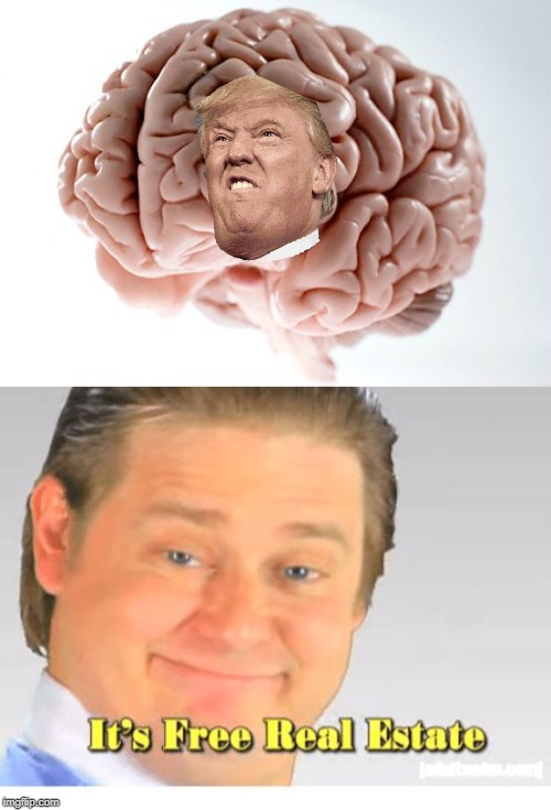 image tagged in blank scumbag brain,it's free real estate | made w/ Imgflip meme maker