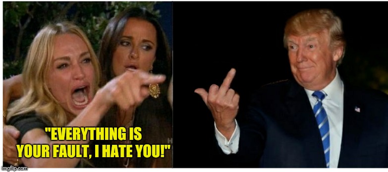 What I do when confronted with nonsense | "EVERYTHING IS YOUR FAULT, I HATE YOU!" | image tagged in woman yelling at trump,memes,funny memes,funny,woman yelling at cat | made w/ Imgflip meme maker