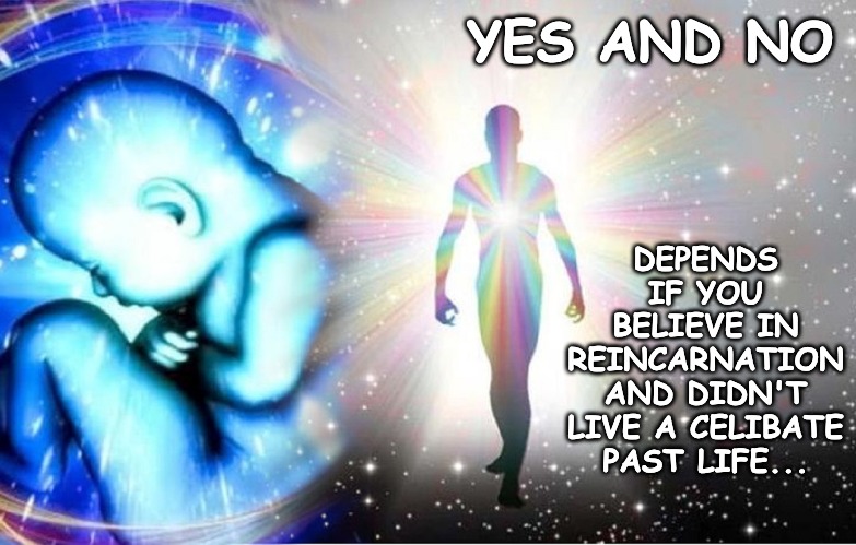 YES AND NO DEPENDS IF YOU BELIEVE IN REINCARNATION AND DIDN'T LIVE A CELIBATE PAST LIFE... | made w/ Imgflip meme maker