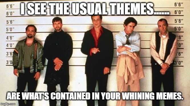 The Usual Suspects | I SEE THE USUAL THEMES...... ARE WHAT'S CONTAINED IN YOUR WHINING MEMES. | image tagged in the usual suspects | made w/ Imgflip meme maker