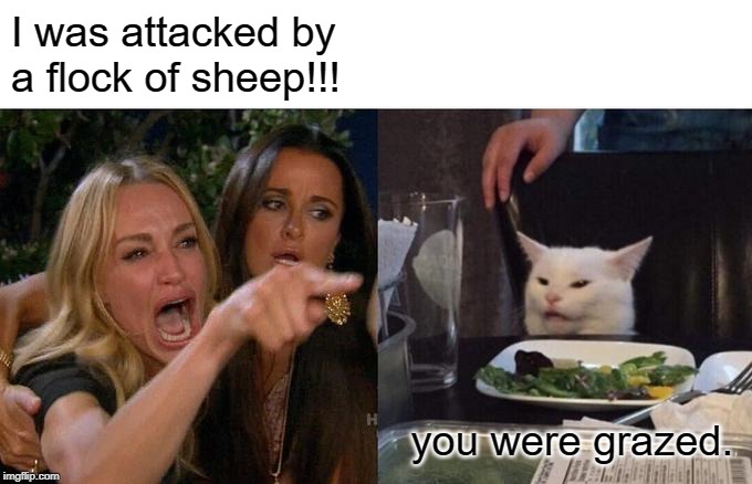 Woman Yelling At Cat | I was attacked by a flock of sheep!!! you were grazed. | image tagged in memes,woman yelling at cat | made w/ Imgflip meme maker