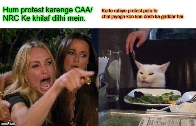 Woman Yelling At Cat | Hum protest karenge CAA/ NRC Ke khilaf dilhi mein. Karte rahiye protest pata to chal jayega kon kon desh ka gaddar hai. | image tagged in memes,woman yelling at cat | made w/ Imgflip meme maker
