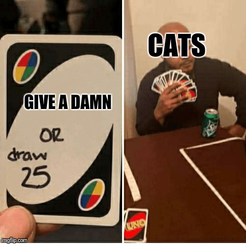 UNO Draw 25 Cards Meme | CATS; GIVE A DAMN | image tagged in draw 25,cats | made w/ Imgflip meme maker