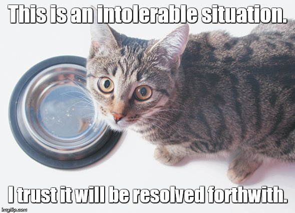 This is an intolerable situation. I trust it will be resolved forthwith. | made w/ Imgflip meme maker