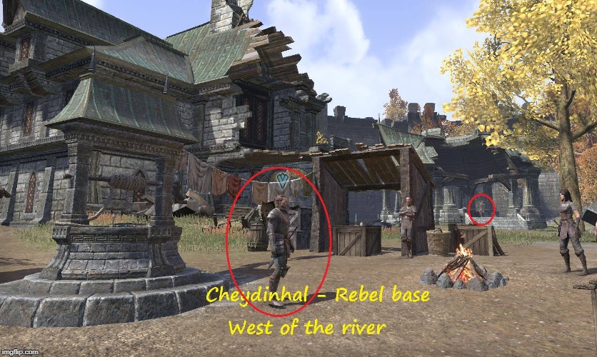 image tagged in eso cheydinhall quesygivers | made w/ Imgflip meme maker