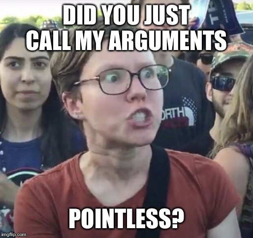 Triggered feminist | DID YOU JUST CALL MY ARGUMENTS POINTLESS? | image tagged in triggered feminist | made w/ Imgflip meme maker