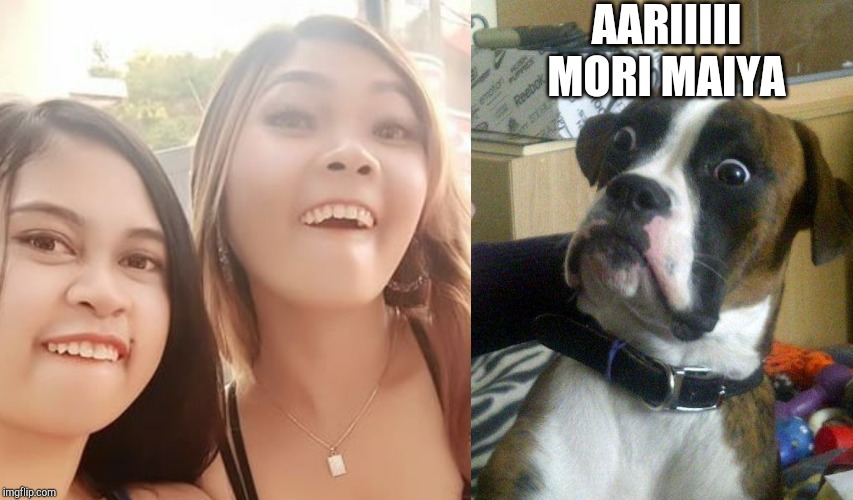 AARIIIII MORI MAIYA | image tagged in blankie the shocked dog | made w/ Imgflip meme maker