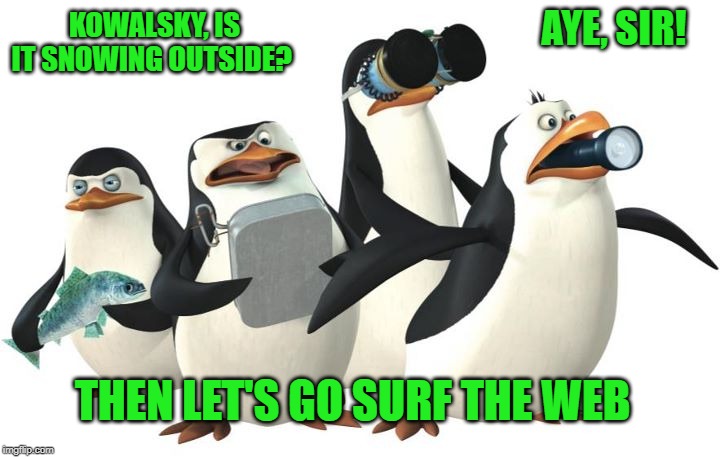 penquines | KOWALSKY, IS IT SNOWING OUTSIDE? AYE, SIR! THEN LET'S GO SURF THE WEB | image tagged in penquines | made w/ Imgflip meme maker