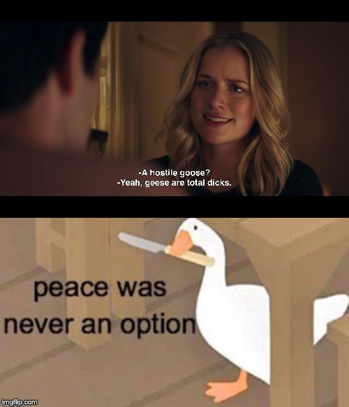 image tagged in untitled goose peace was never an option,you,netflix,episode 4,season 1 | made w/ Imgflip meme maker