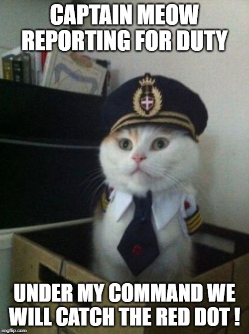 Captain Meow | CAPTAIN MEOW REPORTING FOR DUTY; UNDER MY COMMAND WE WILL CATCH THE RED DOT ! | image tagged in captain meow | made w/ Imgflip meme maker